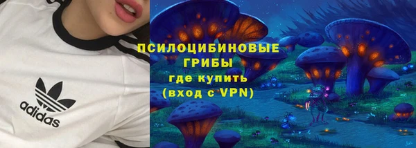 молекула духа Михайловка