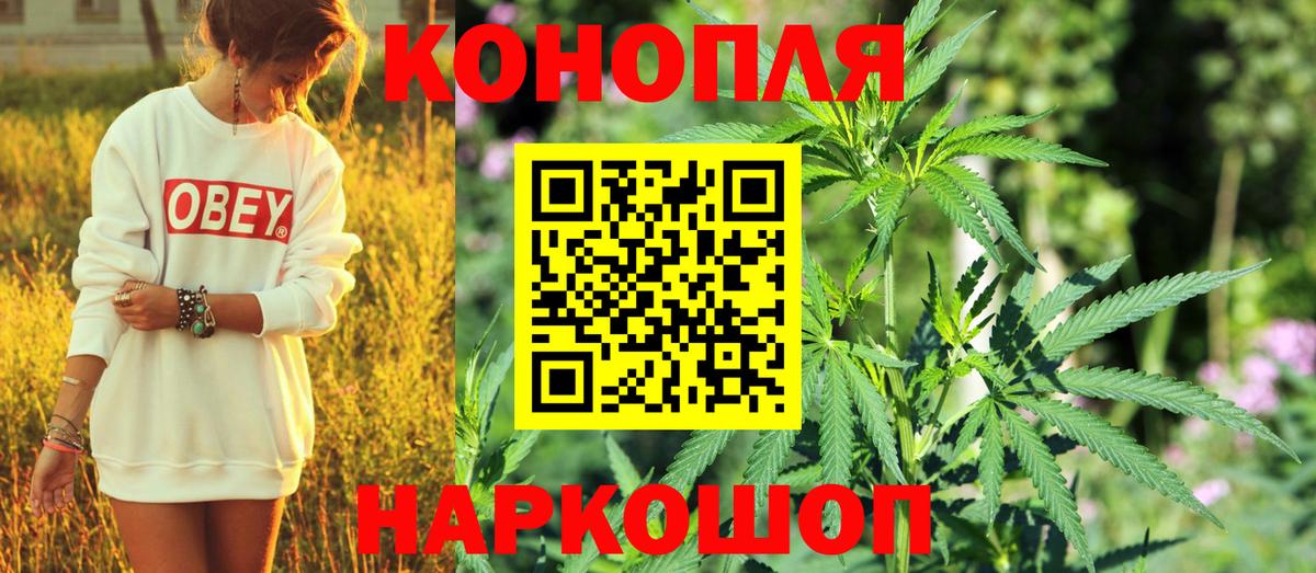 Канабис план Рязань